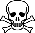 skull