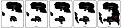 Ravenloft Core's development 2