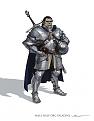 ORC paladin